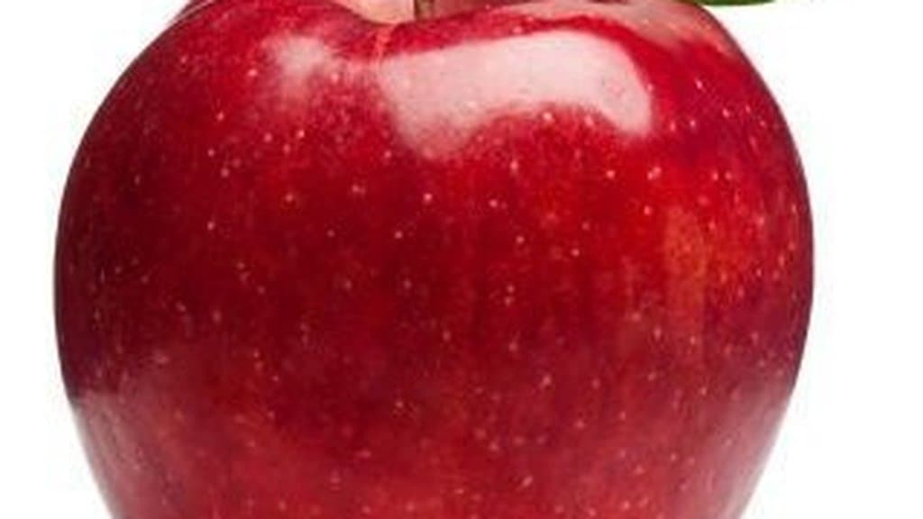 Apple’s delayed AI Siri now comes with a US$250 million settlement
